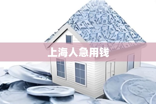 上海人急用钱