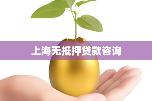 上海无抵押贷款咨询