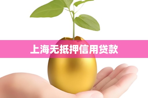 上海无抵押信用贷款