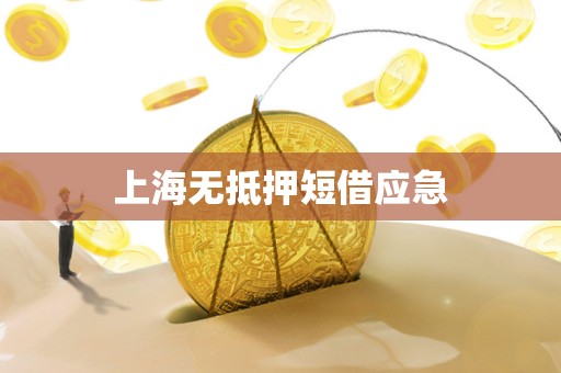 上海无抵押短借应急