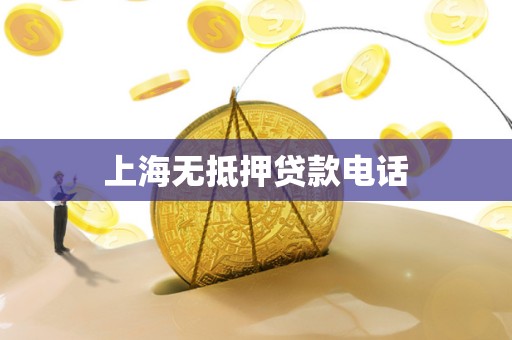 上海无抵押贷款电话