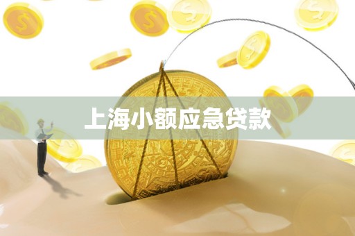 上海小额应急贷款 上海小额应急贷款