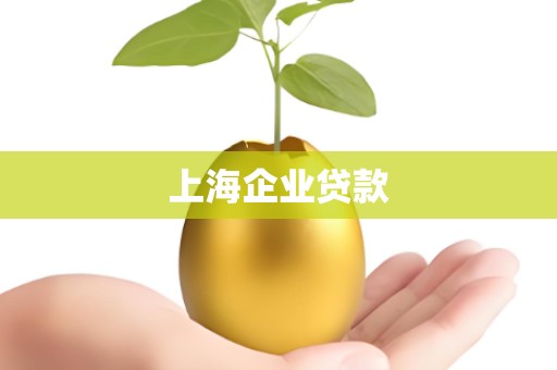 上海企业贷款 上海企业贷款