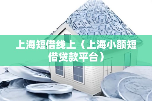 上海短借线上(上海小额短借贷款平台)