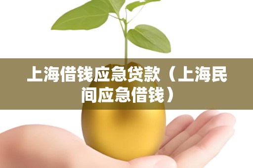 上海借钱应急贷款（上海民间应急借钱）