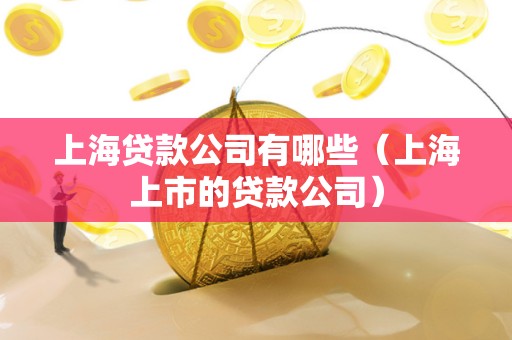 上海贷款公司有哪些（上海上市的贷款公司）