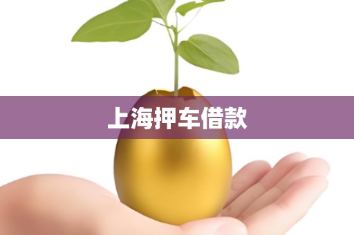 上海押车借款 上海押车借款