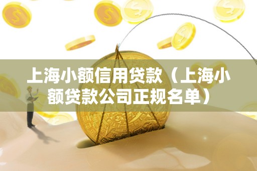 上海小额信用贷款（上海小额贷款公司正规名单）