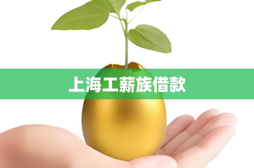 上海工薪族借款 上海工薪族借款